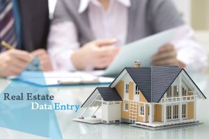 real estate data entry
